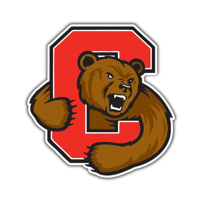 Cornell Big Red Full Color Vinyl Decal - Custom Size