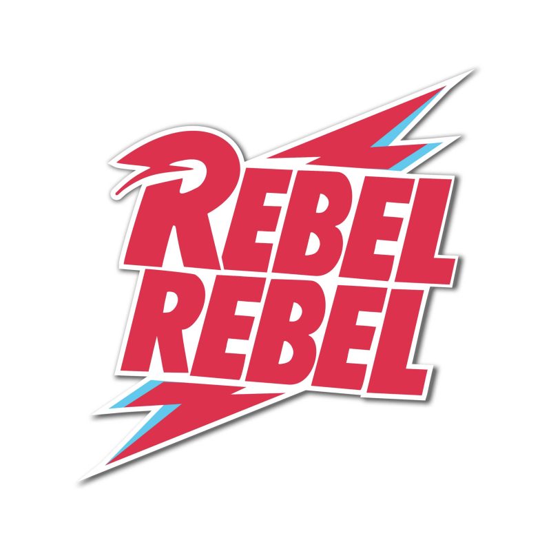 David Bowie Full Color Vinyl Decal - Custom Size