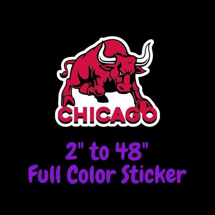 Chicago Bulls - Bull With Chicago - Full Color Vinyl Sticker - Custom Size