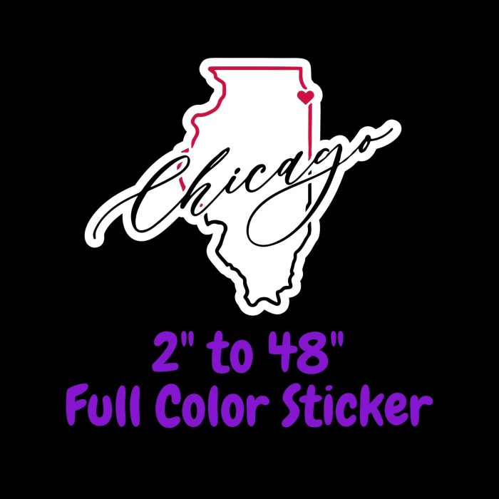 Chicago Bulls - State With Chicago - Full Color Vinyl Sticker - Custom Size