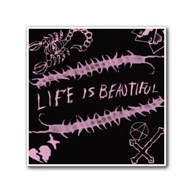 Lil Peep Album Cover Full Color Vinyl Decal - Custom Size