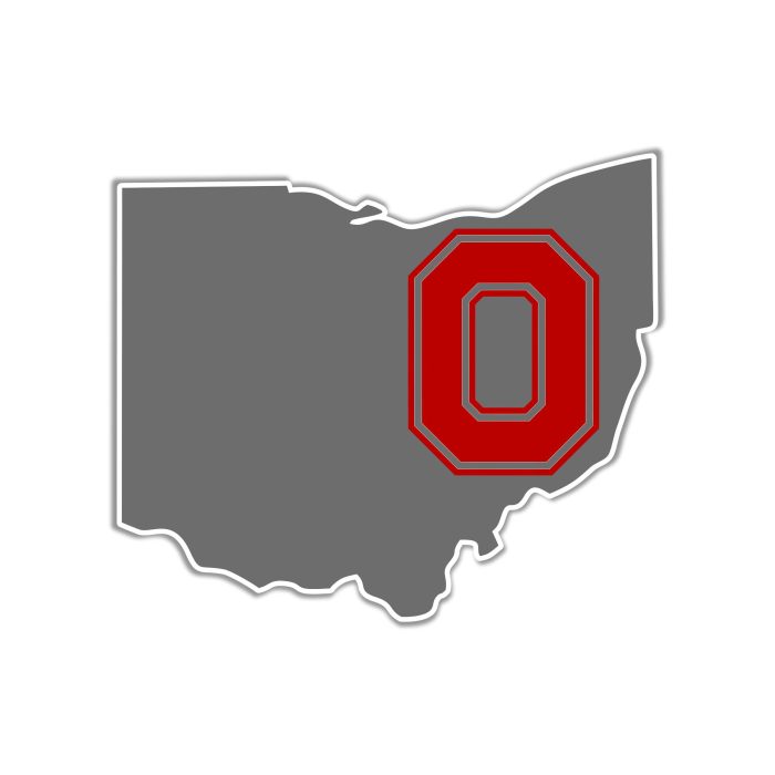 Ohio State Buckeyes Full Color Vinyl Decal - Custom Size