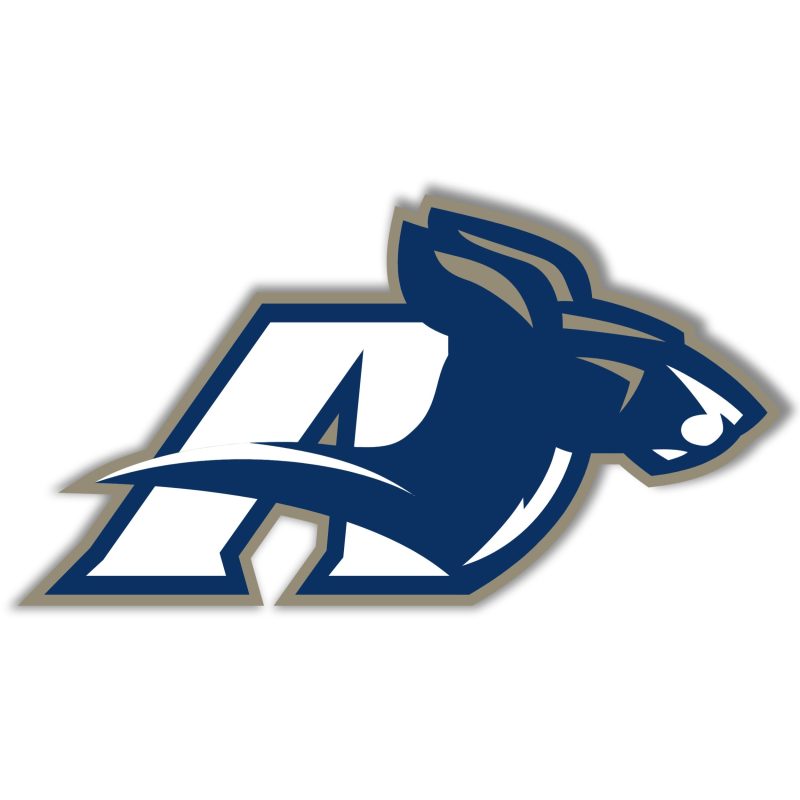 Akron Zips Full Color Vinyl Decal - Custom Size