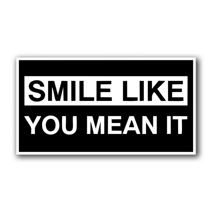 The Killers Full Color Vinyl Decal - Custom Size