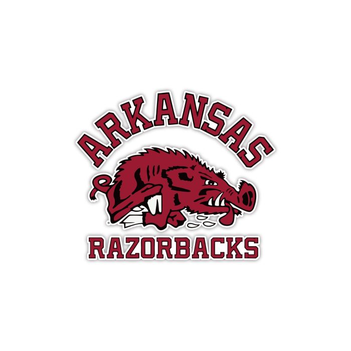 Arkansas Razorbacks Full Color Vinyl Decal - Custom Size