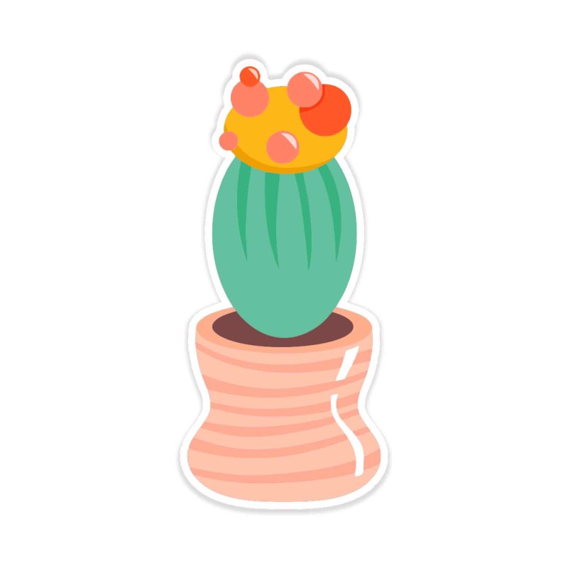 Cactus Full Color Vinyl Decal - Custom Size