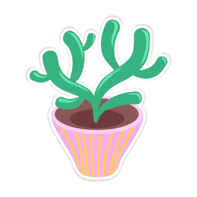 Cactus Full Color Vinyl Decal - Custom Size