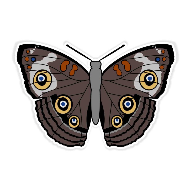 Butterfly - Full Color Vinyl Decal