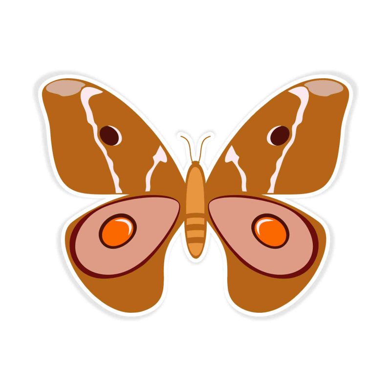Butterfly - Full Color Vinyl Decal
