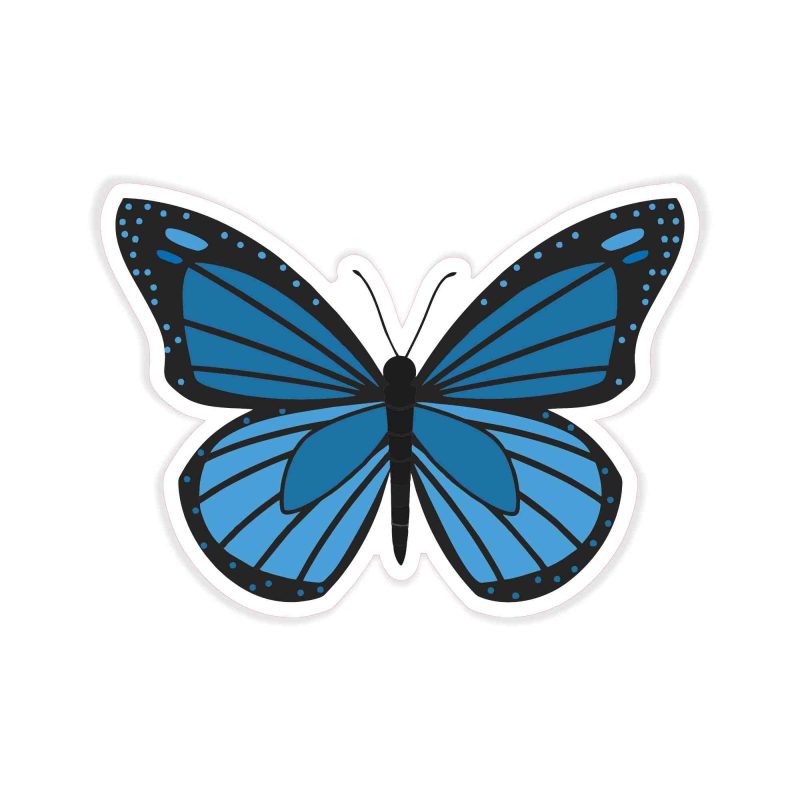 Butterfly - Full Color Vinyl Decal