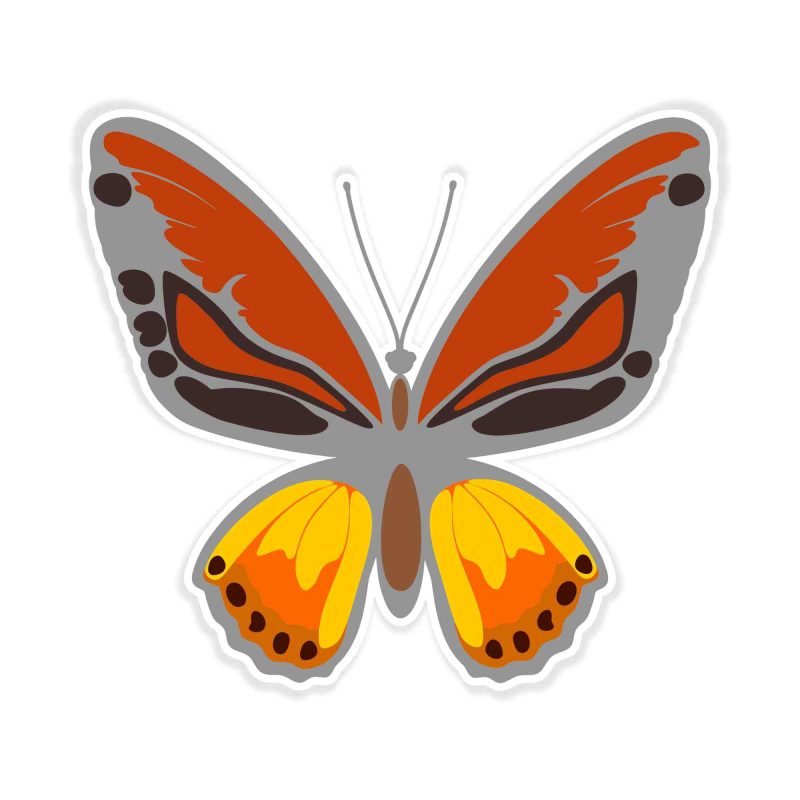 Butterfly - Full Color Vinyl Decal