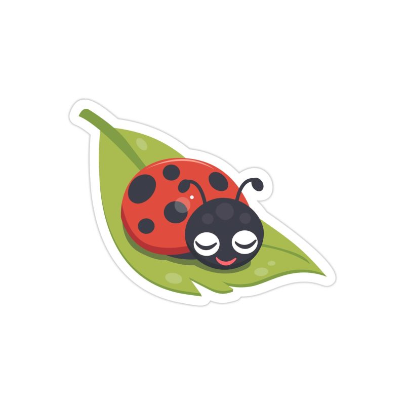 Ladybug Full Color Vinyl Decal - Custom Size