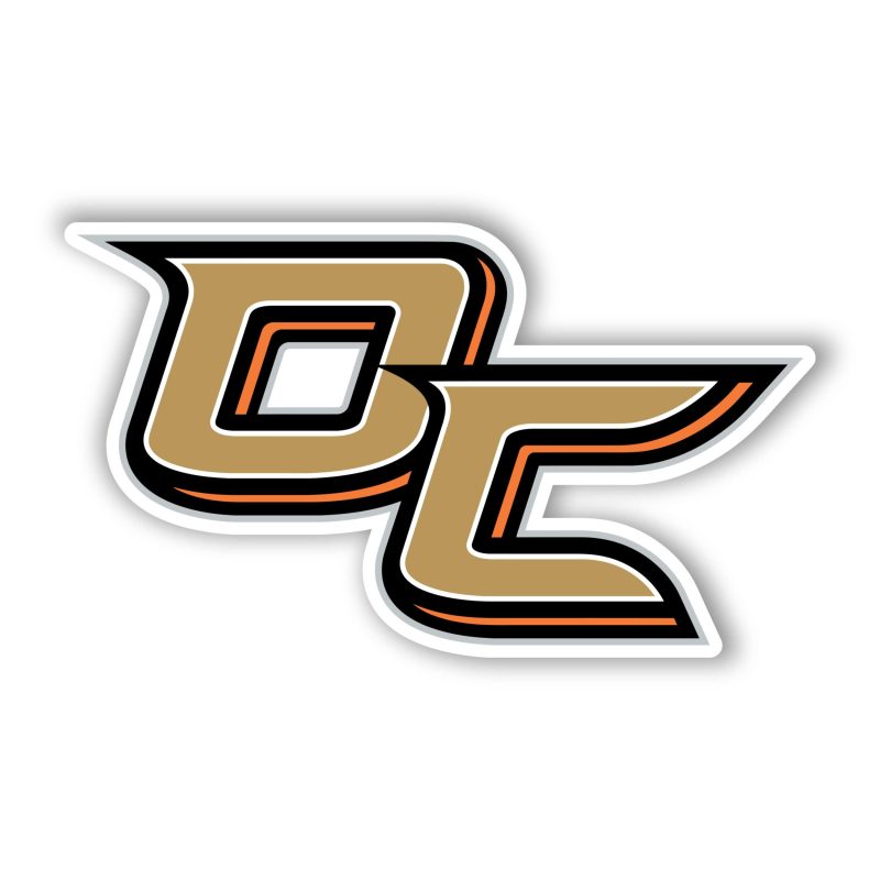 Anaheim Ducks - DC - Full Color Vinyl Sticker - Custom Size