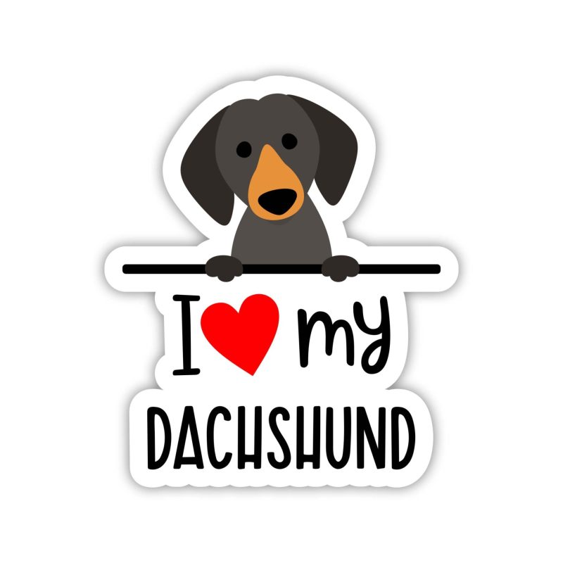 I Love My Dachshund- Dog Full Color Vinyl Decal