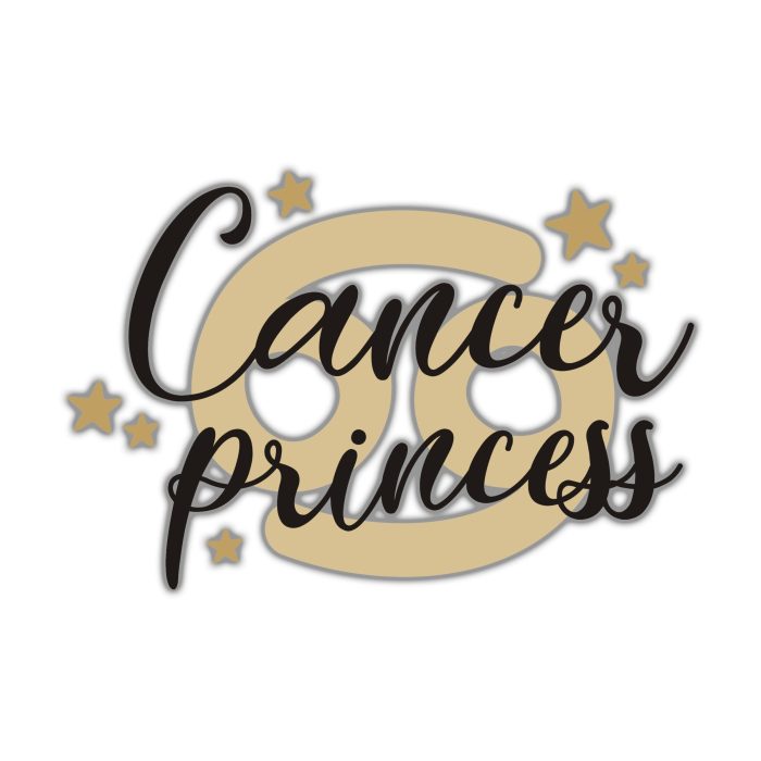 Cancer Princess - Full Color Vinyl Decal - Custom Size