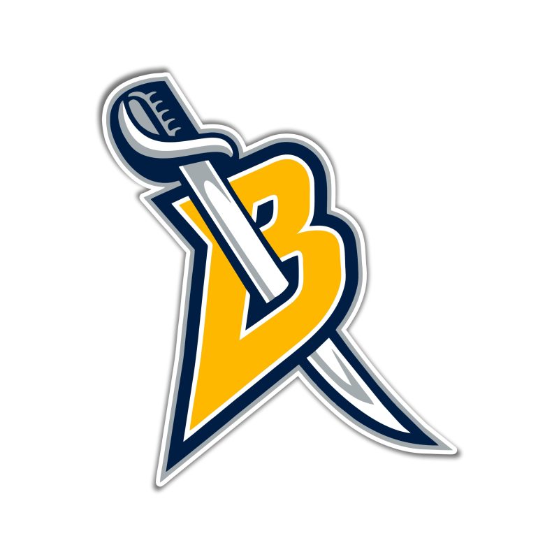 Buffalo Sabres - B Sword - Full Color Vinyl Sticker - Custom Size