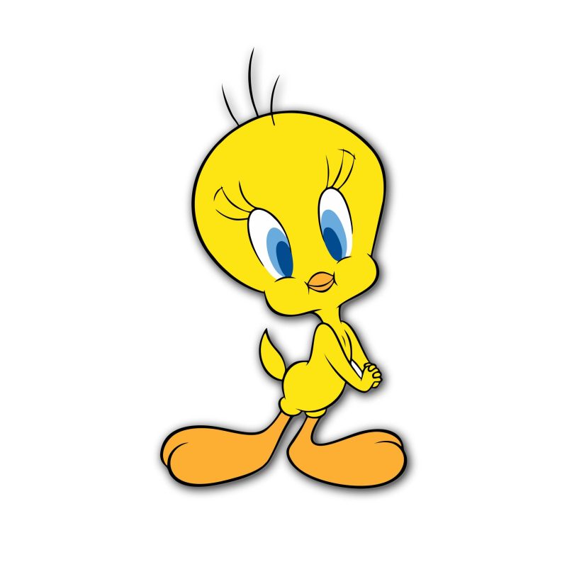 Looney Tunes - Tweety - Full Color Vinyl Sticker - Custom Size