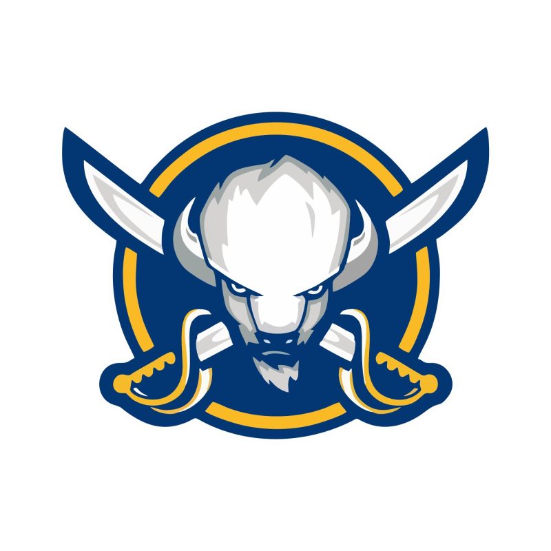 Buffalo Sabres - Circle With Buffalo In Center - Full Color Vinyl Sticker - Custom Size
