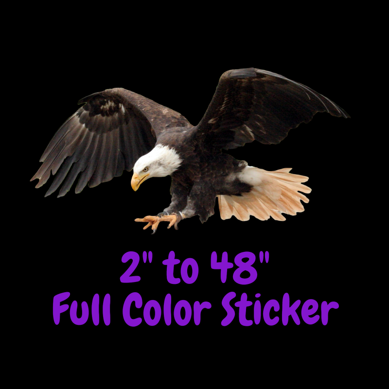Eagle Full Color Vinyl Decal - Custom Size