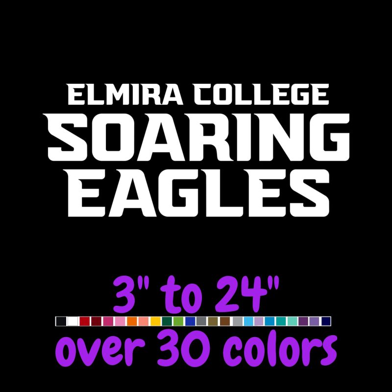 Custom for Patrick- Soaring Eagles - Vinyl Decal - Custom Size
