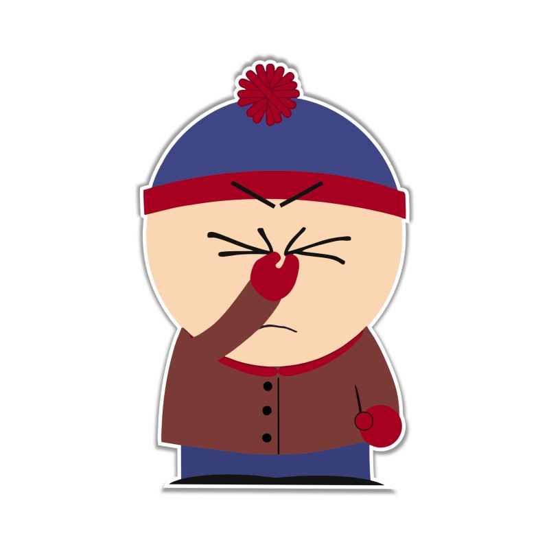 Stan Facepalm Full Color Vinyl Decal - Custom Size