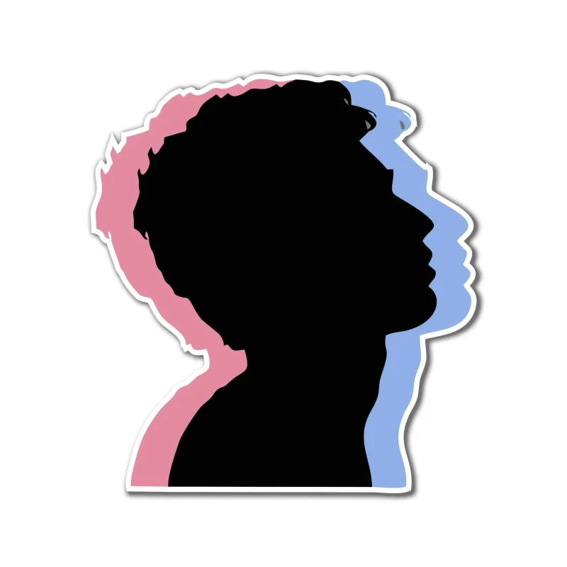 5 Seconds Of Summer Full Color Vinyl Decal - Custom Size