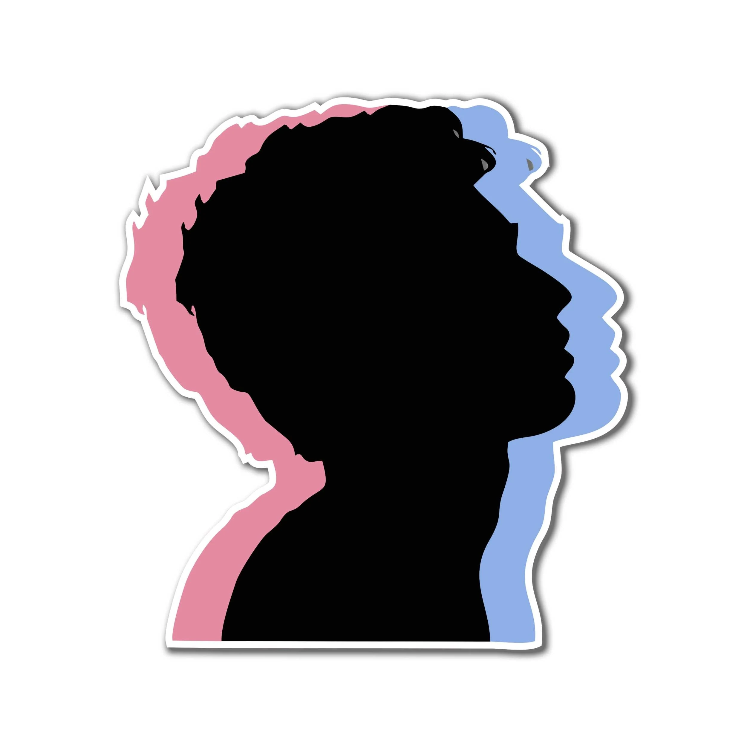 5 Seconds Of Summer Full Color Vinyl Decal - Custom Size