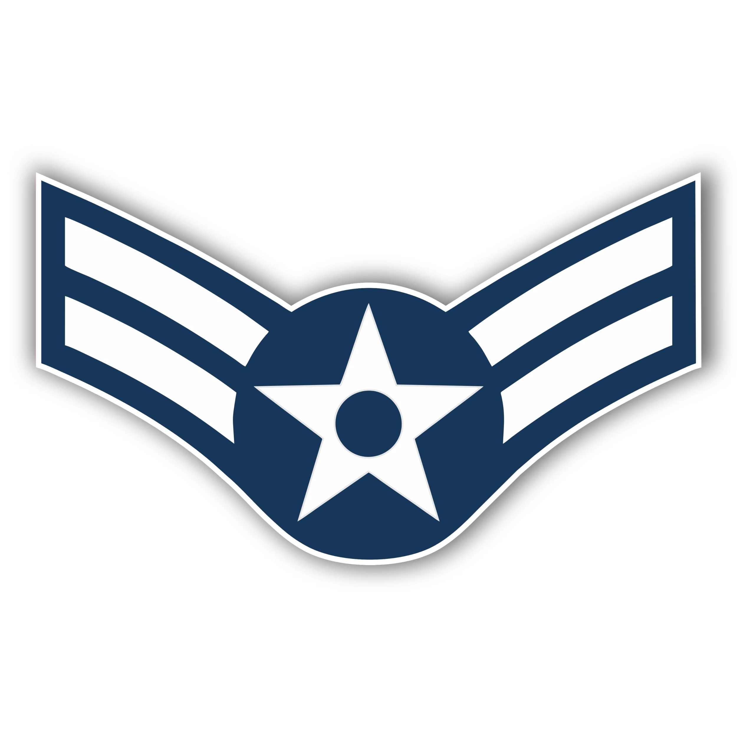 Air Force - A1C - Iron On DTF Transfer - Custom Size