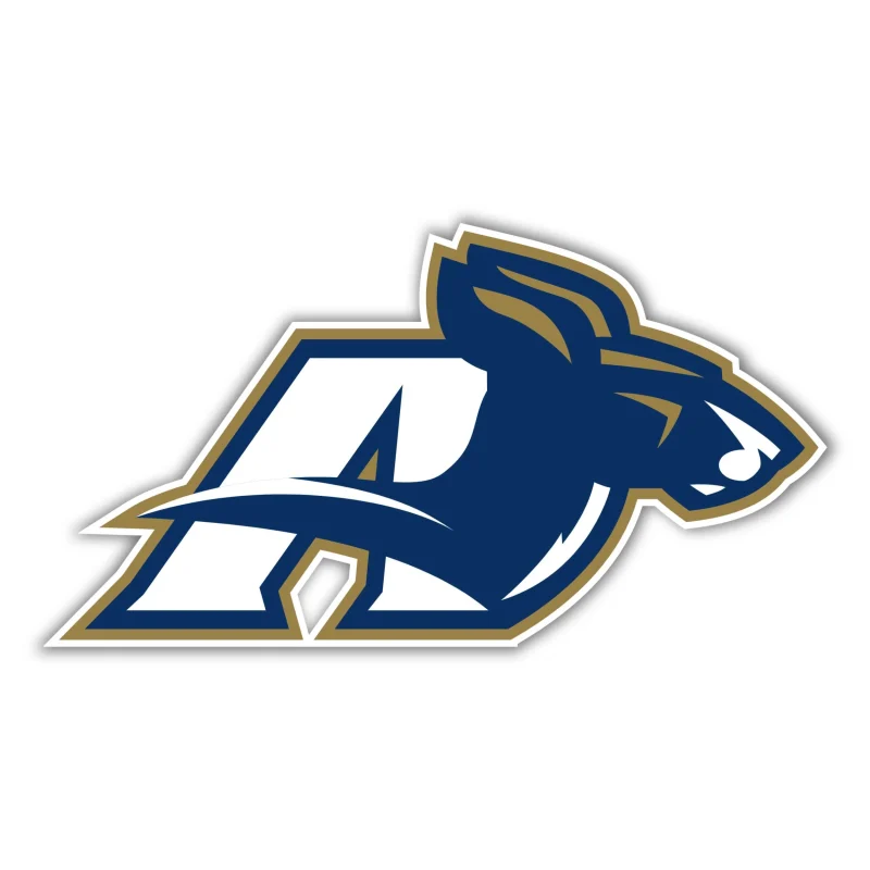 Akron Zips Full Color Vinyl Decal - Custom Size