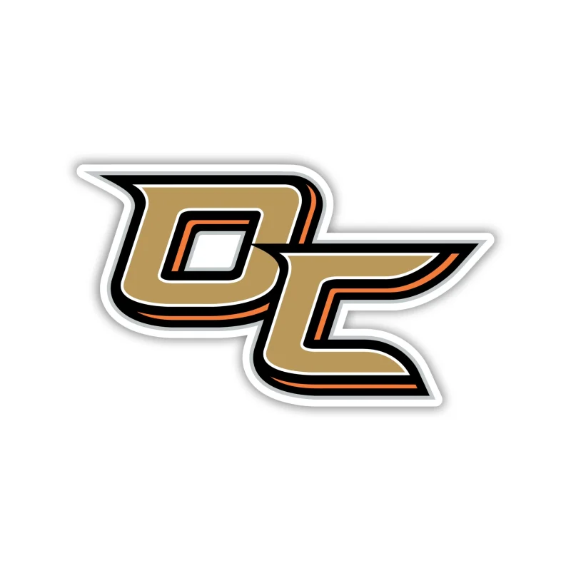 Anaheim Ducks - DC - Iron On DTF Transfer - Custom Size