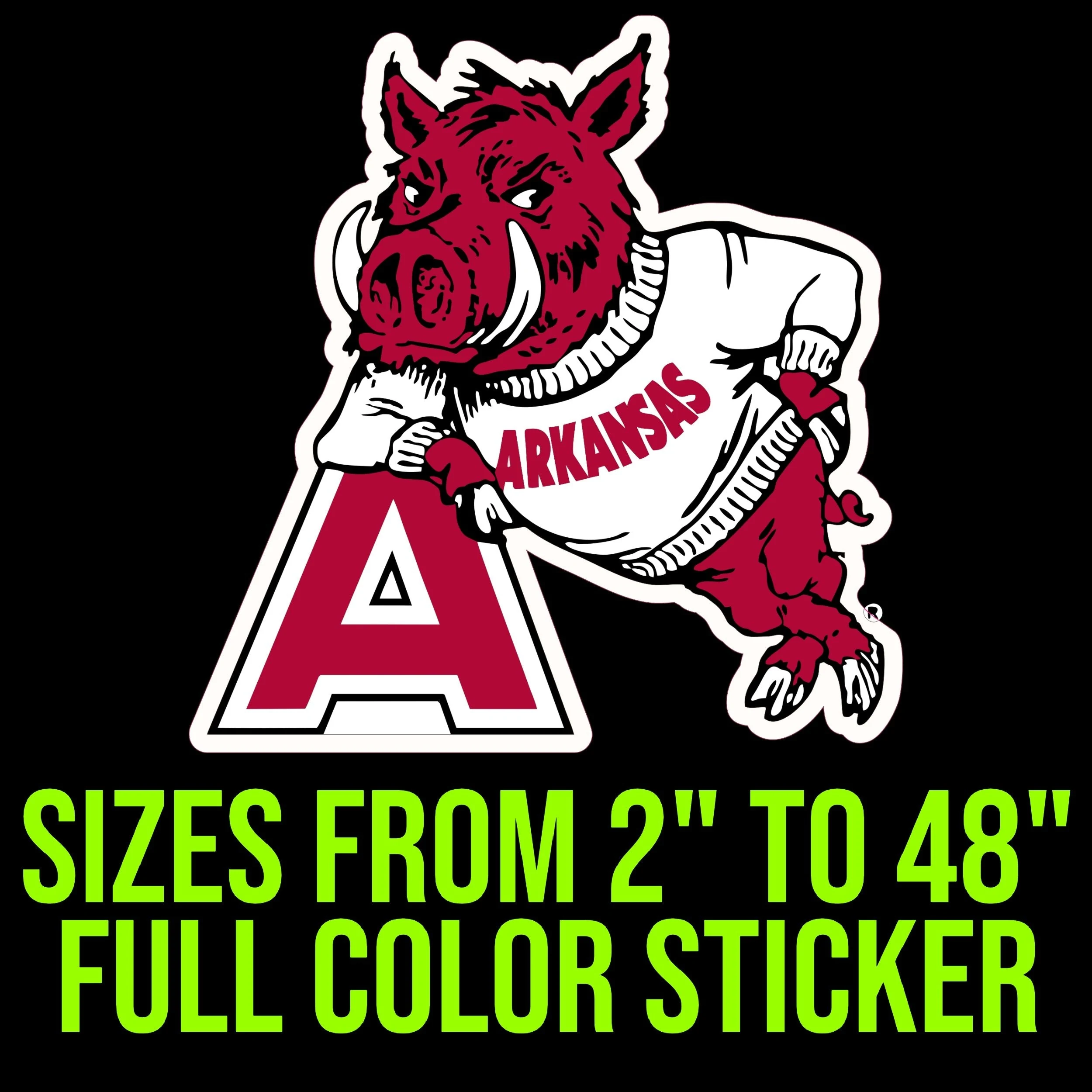 Arkansas Razorbacks Full Color Vinyl Decal - Custom Size