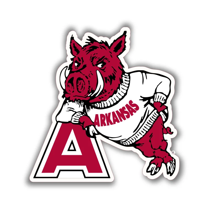 Arkansas Razorbacks - Iron On DTF Transfer - Custom Size