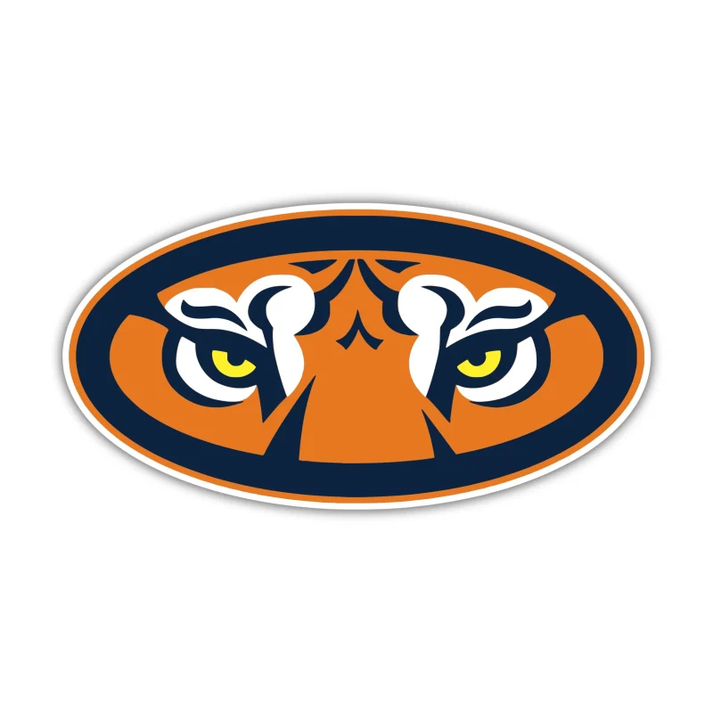 Auburn Tigers - Tigers Eyes - Iron On DTF Transfer - Custom Size
