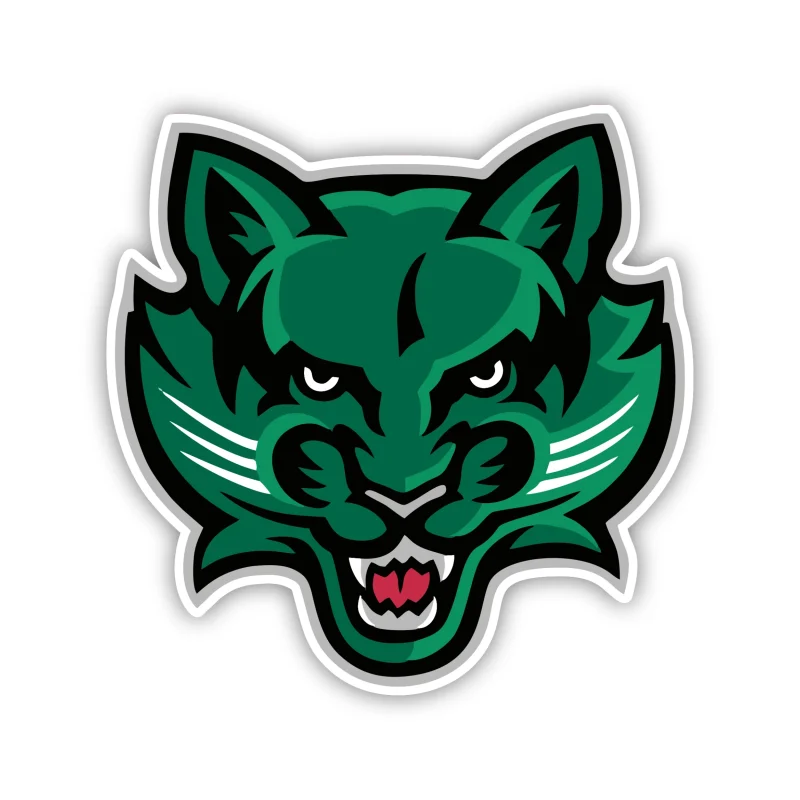 Binghamton Bearcats - Bearcats Head - Iron On DTF Transfer - Custom Size
