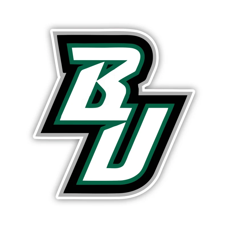 Binghamton Bearcats - BU - Iron On DTF Transfer - Custom Size