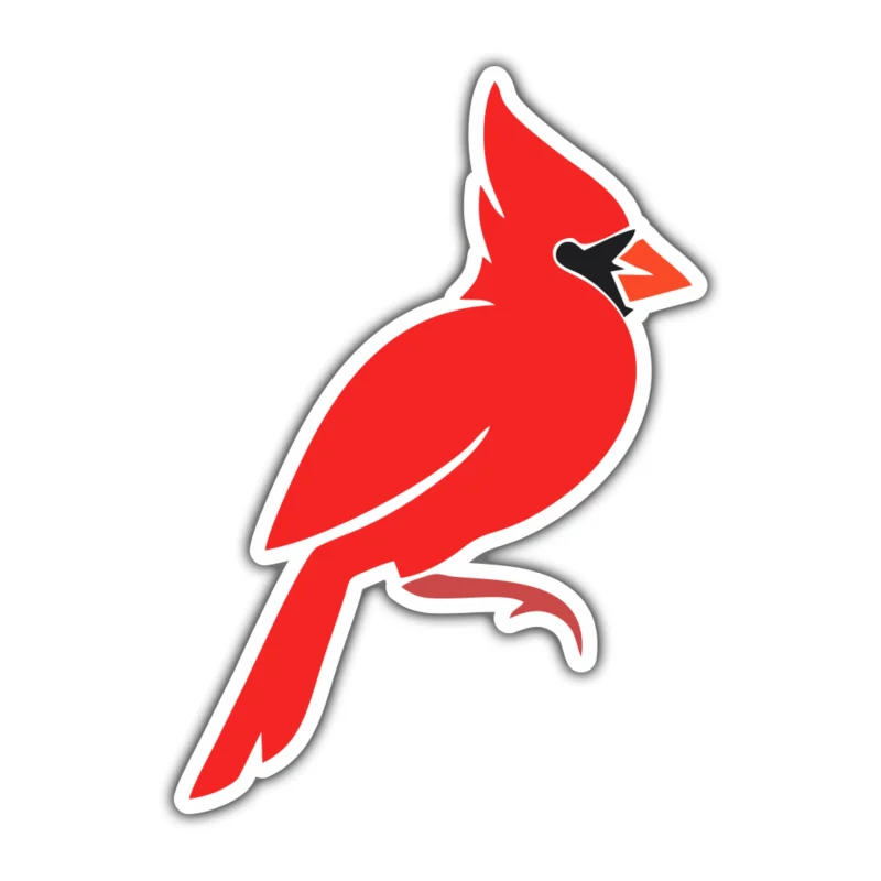 Bird - Cardinal - Full Color Vinyl Decal - Custom Size