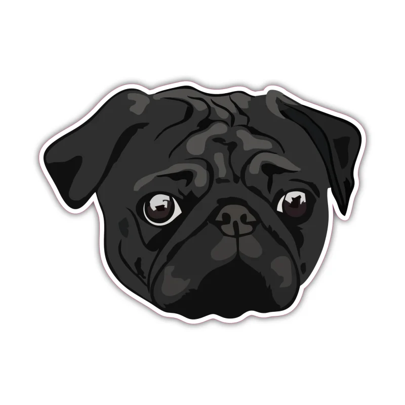 Black Pug - Iron On DTF Transfer - Custom Size