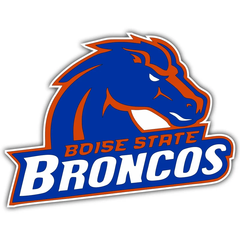 Boise State Broncos - Bronco with Name - Iron On DTF Transfer - Custom Size