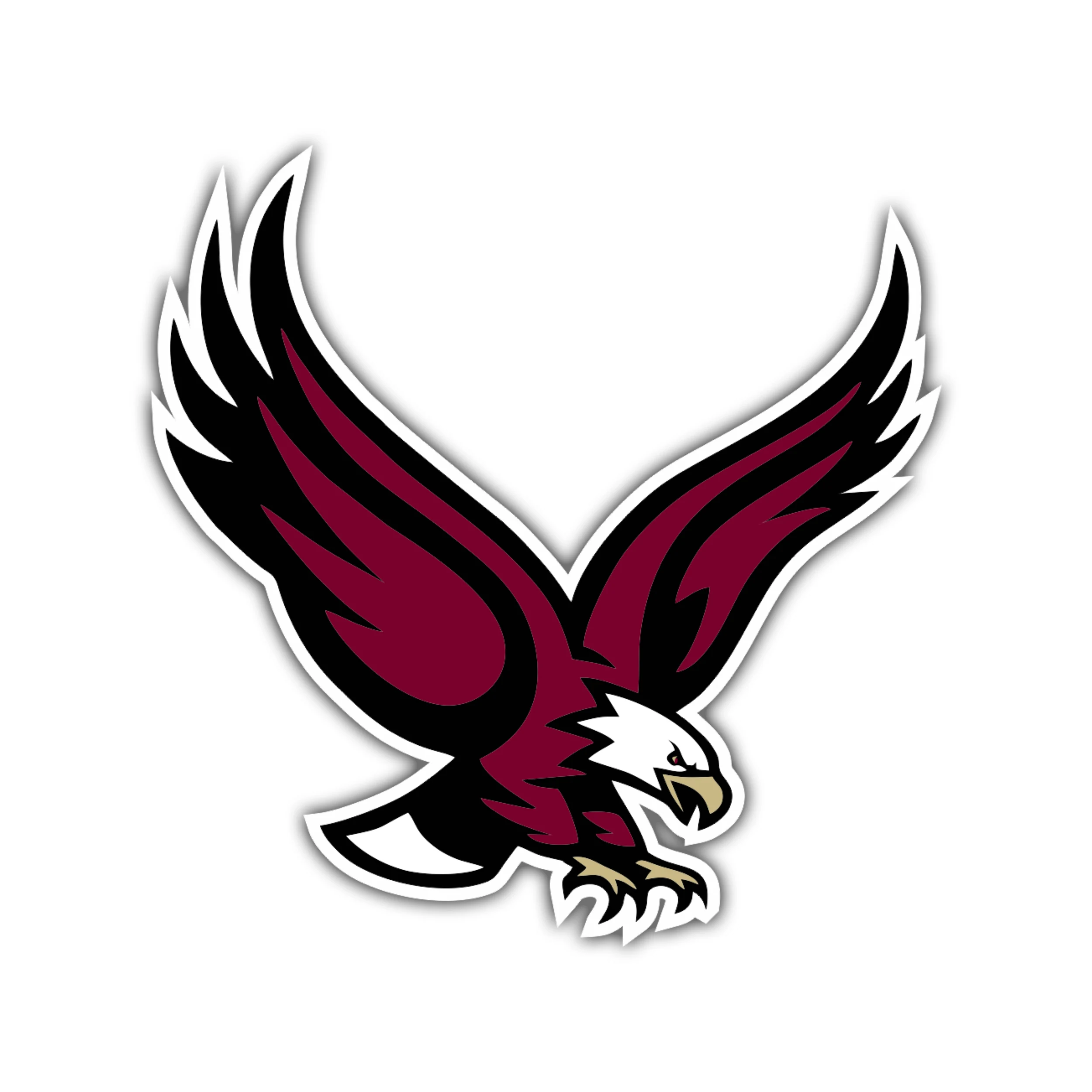 Boston College Eagles - Iron On DTF Transfer - Custom Size