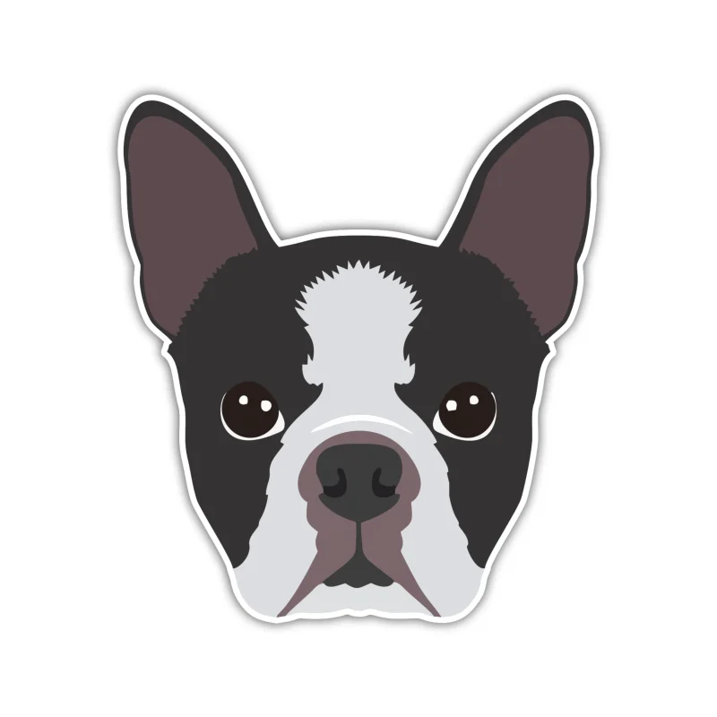 Boston Terrier - Full Color Vinyl Sticker - Custom Size