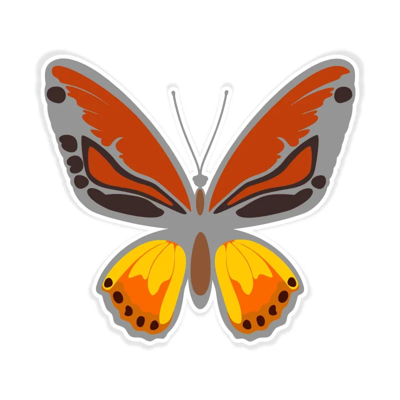 Butterfly - Full Color Vinyl Decal