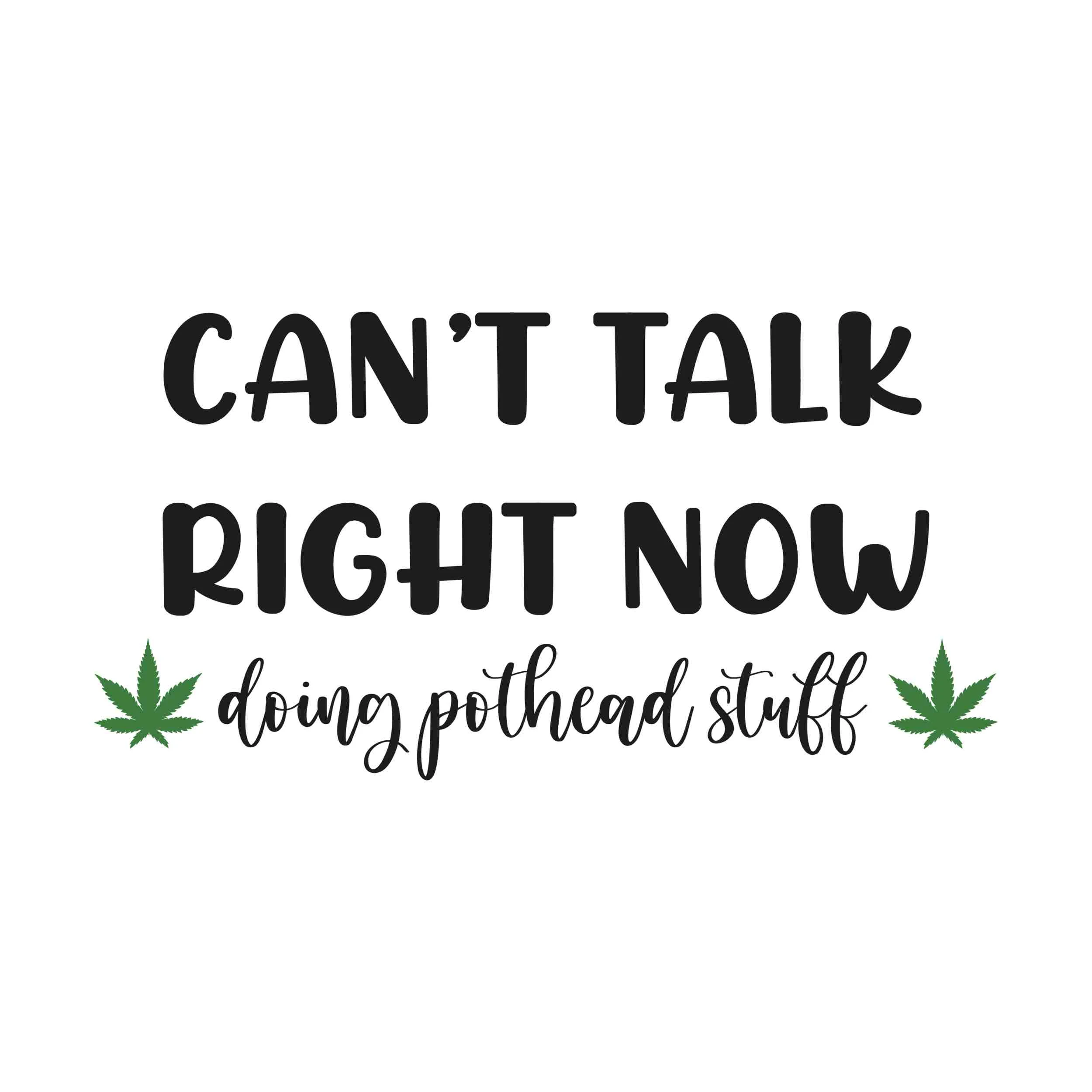 Can't Talk Right Now doing pothead stuff - Iron On DTF Transfer - Custom Size