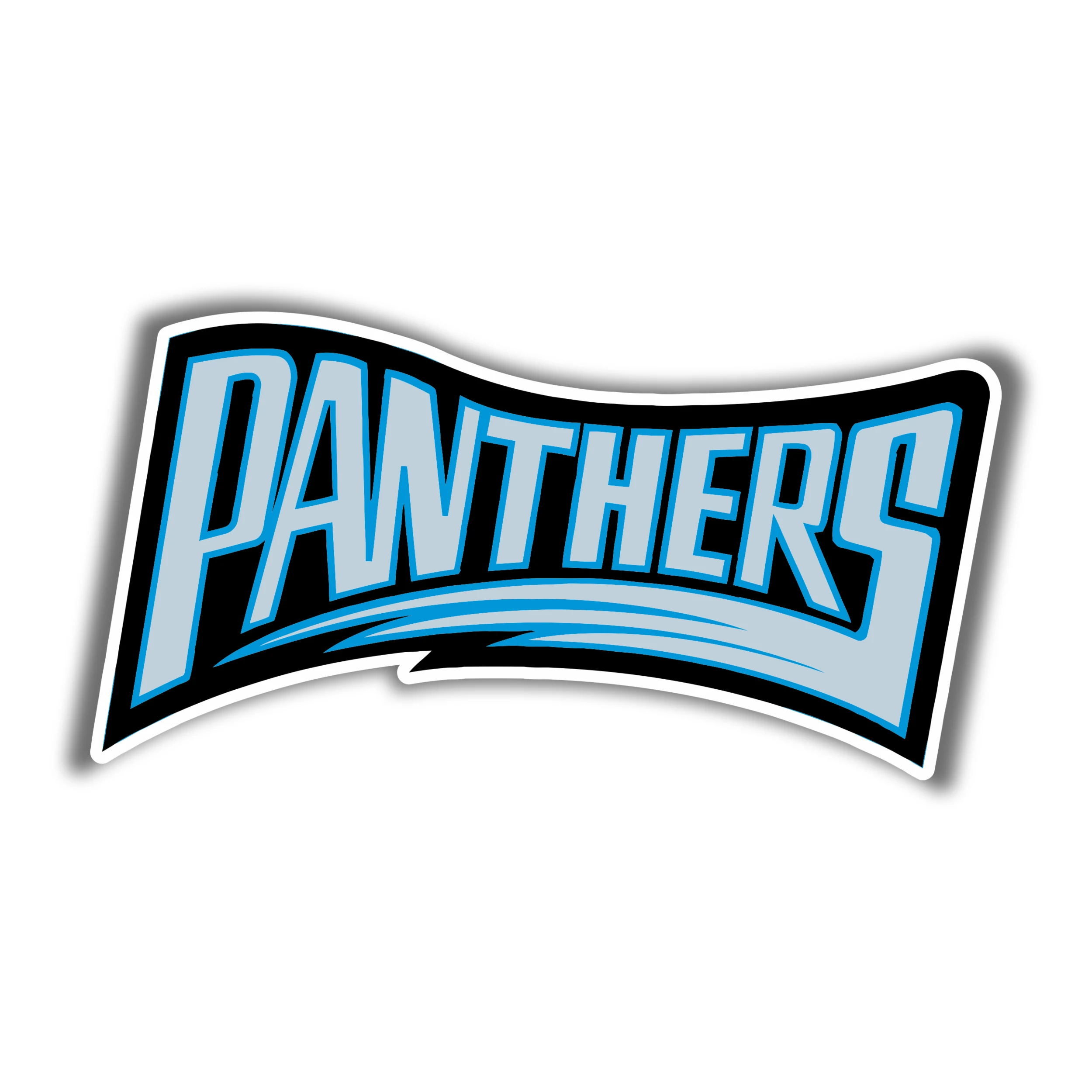 Carolina Panthers Full Color Vinyl Decal - Wording - Custom Size