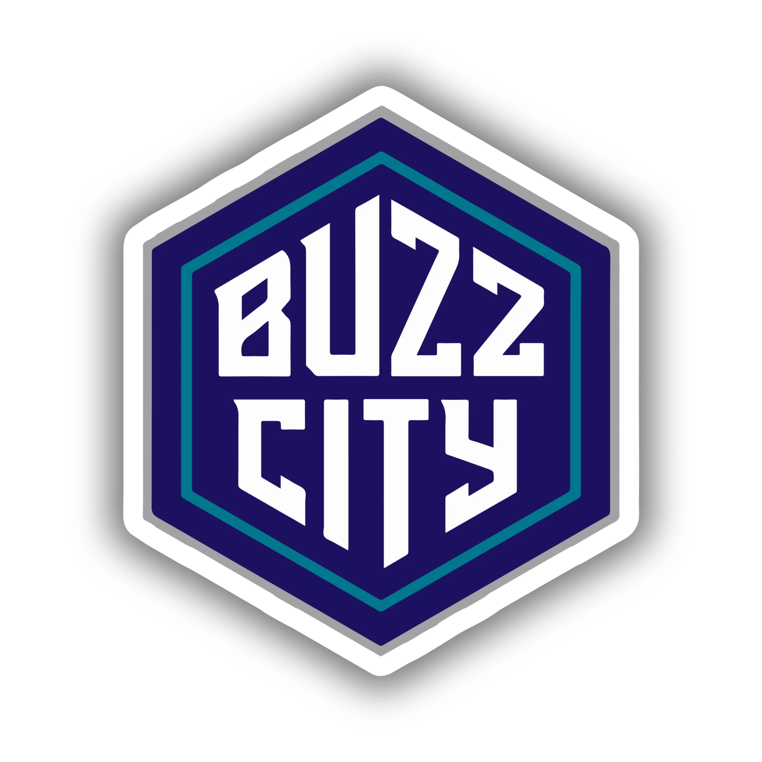 Charlotte hornets -Buzz City- Full Color Vinyl Sticker - Custom Size