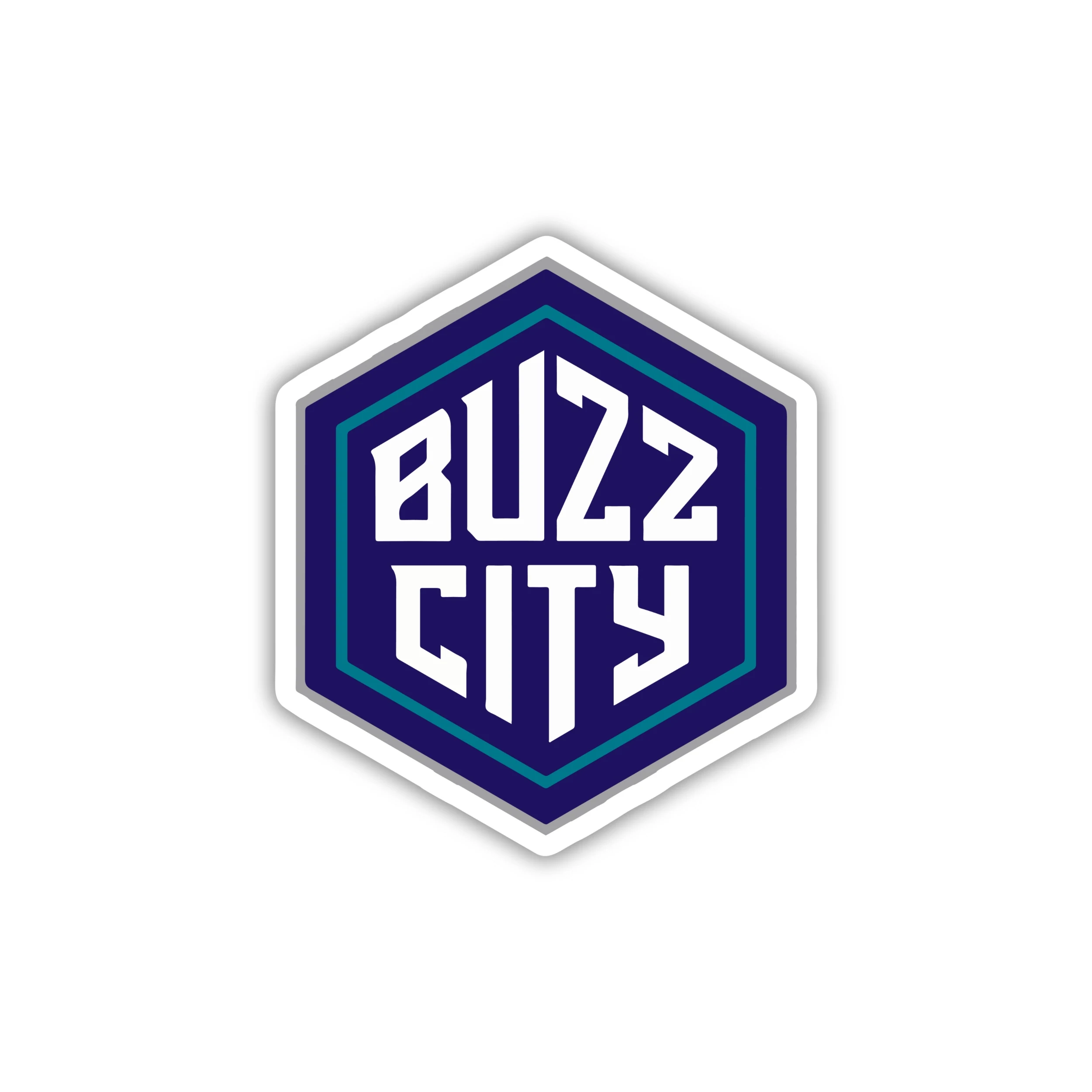 Charlotte Hornets - Buzz City - Temporary Tattoo