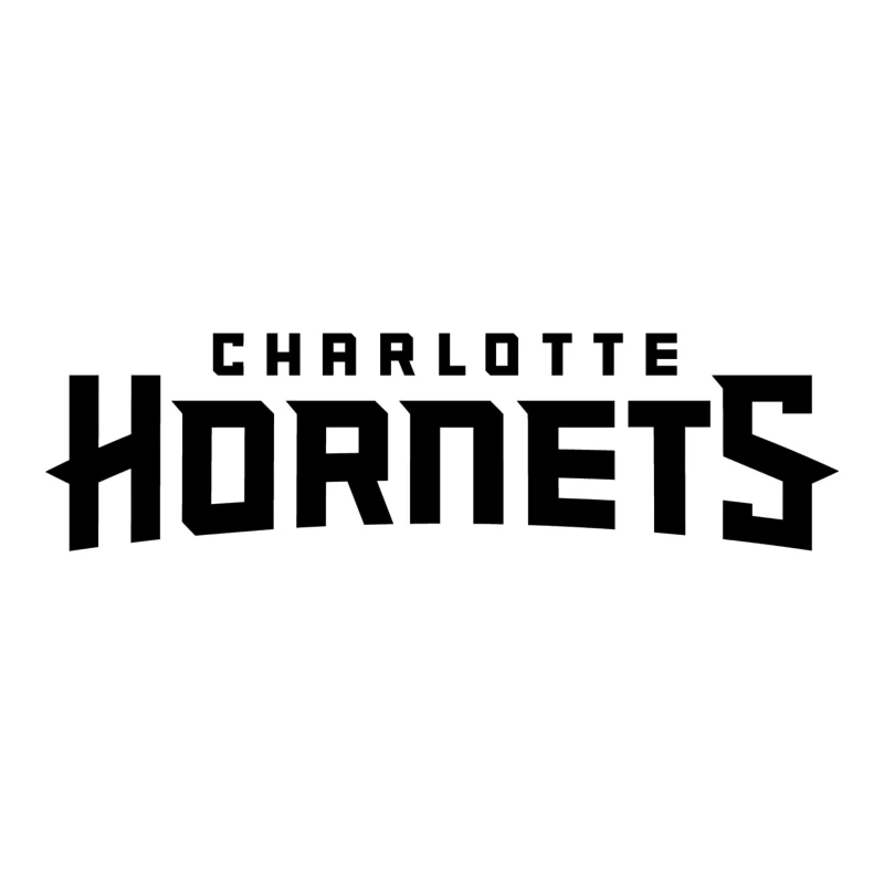 Charlotte Hornets Vinyl Decal - Custom Size