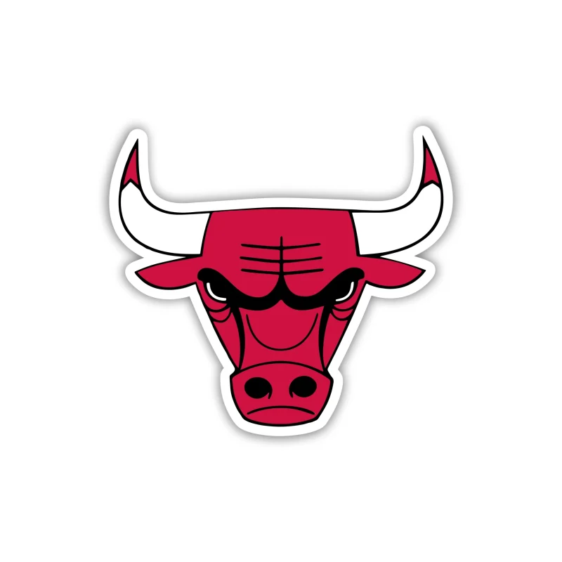 Chicago Bulls - Bull Head - Temporary Tattoo