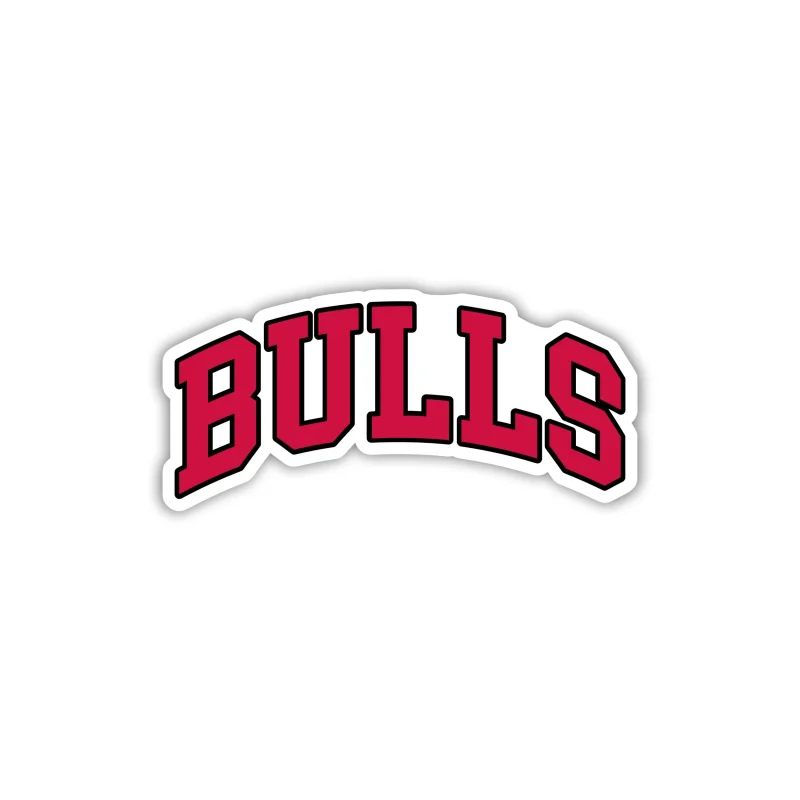 Chicago Bulls - Bulls - Iron On DTF Transfer - Custom Size