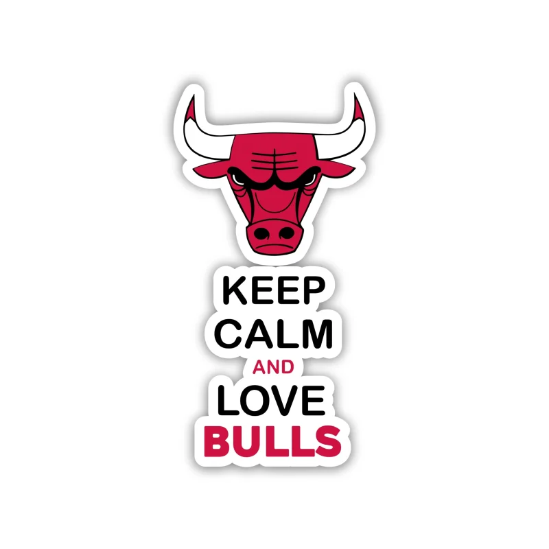 Chicago Bulls - Keep Calm And Love Bulls - Iron On DTF Transfer - Custom Size