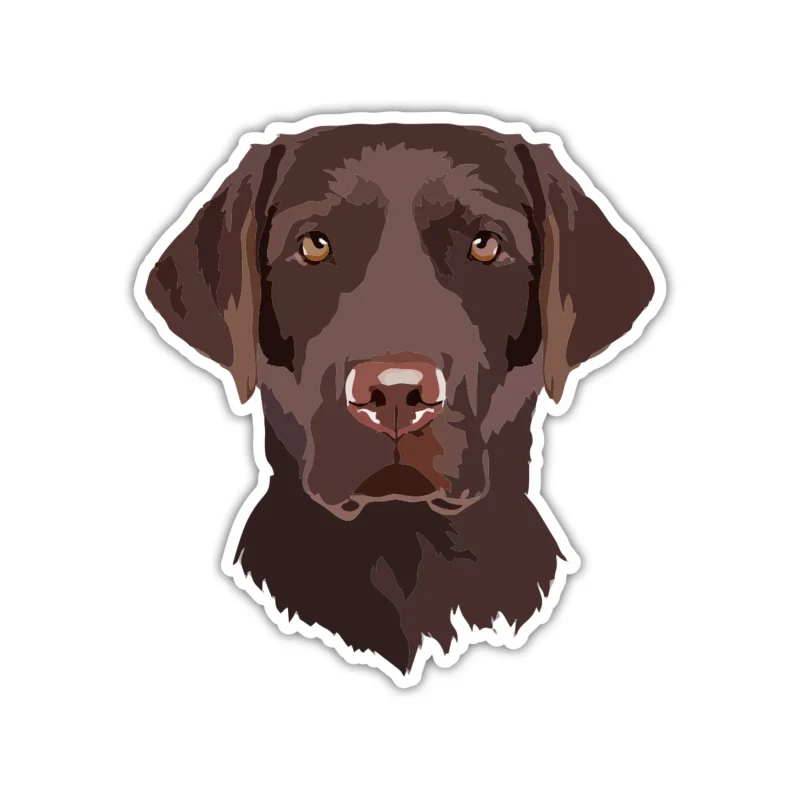 Chocolate Labrador - Iron On DTF Transfer - Custom Size